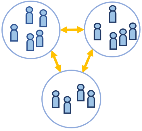 self-organized scheme